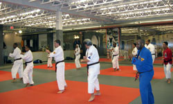 Adult Class doing basic exercises